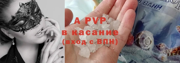 прущие грибы Баксан