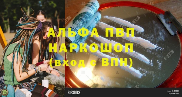 прущие грибы Баксан