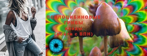 прущие грибы Баксан