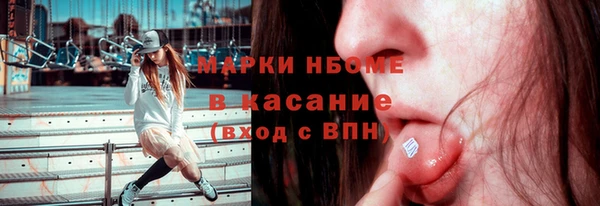 прущие грибы Баксан