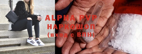 прущие грибы Баксан